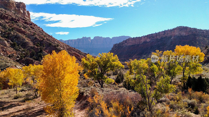 南Mesa Eagle Crags Horse Valley Wash在犹他州罗克维尔附近